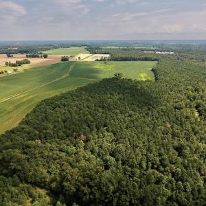 Photo #11 of SOLD property in Off Joe Gardner Road  , Grifton, NC 52.6 acres