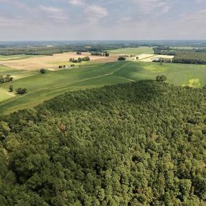 Photo #12 of SOLD property in Off Joe Gardner Road  , Grifton, NC 52.6 acres