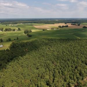 Photo #13 of SOLD property in Off Joe Gardner Road  , Grifton, NC 52.6 acres