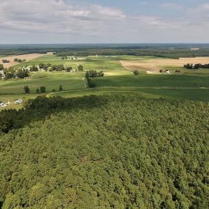 Photo #14 of SOLD property in Off Joe Gardner Road  , Grifton, NC 52.6 acres