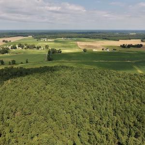 Photo #15 of SOLD property in Off Joe Gardner Road  , Grifton, NC 52.6 acres