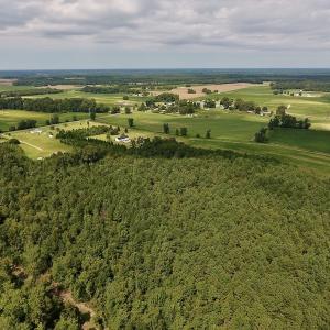 Photo #16 of SOLD property in Off Joe Gardner Road  , Grifton, NC 52.6 acres