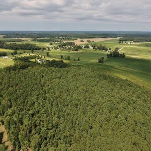 Photo #17 of SOLD property in Off Joe Gardner Road  , Grifton, NC 52.6 acres
