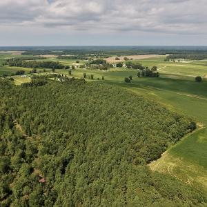 Photo #18 of SOLD property in Off Joe Gardner Road  , Grifton, NC 52.6 acres