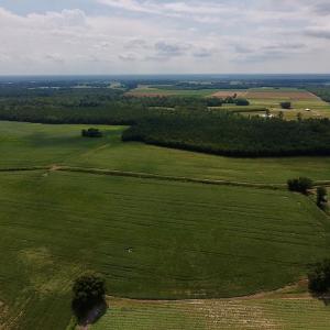 Photo #3 of SOLD property in Off Joe Gardner Road  , Grifton, NC 52.6 acres