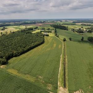 Photo #22 of SOLD property in Off Joe Gardner Road  , Grifton, NC 52.6 acres
