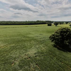Photo #28 of SOLD property in Off Joe Gardner Road  , Grifton, NC 52.6 acres