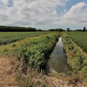 Photo #30 of SOLD property in Off Joe Gardner Road  , Grifton, NC 52.6 acres