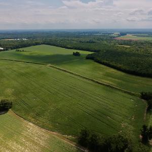 Photo #4 of SOLD property in Off Joe Gardner Road  , Grifton, NC 52.6 acres