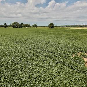 Photo #31 of SOLD property in Off Joe Gardner Road  , Grifton, NC 52.6 acres