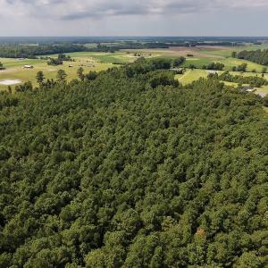 Photo #32 of SOLD property in Off Joe Gardner Road  , Grifton, NC 52.6 acres
