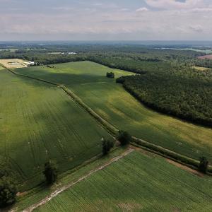 Photo #6 of SOLD property in Off Joe Gardner Road  , Grifton, NC 52.6 acres
