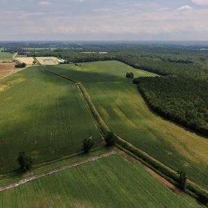 Photo #7 of SOLD property in Off Joe Gardner Road  , Grifton, NC 52.6 acres