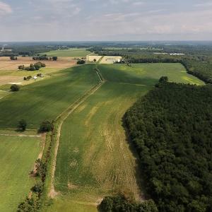 Photo #8 of SOLD property in Off Joe Gardner Road  , Grifton, NC 52.6 acres