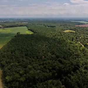 Photo #9 of SOLD property in Off Joe Gardner Road  , Grifton, NC 52.6 acres