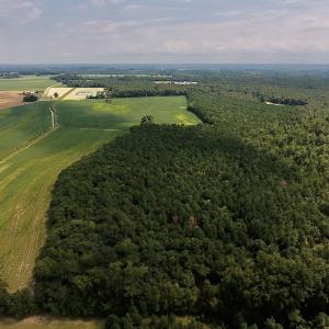 Photo #10 of SOLD property in Off Joe Gardner Road  , Grifton, NC 52.6 acres