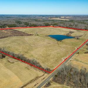 Photo #1 of SOLD property in Off Pixley Pritchard Road & Thomas Store Road, Timberlake, NC 115.0 acres