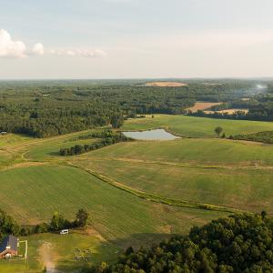 Photo #3 of SOLD property in Off Pixley Pritchard Road & Thomas Store Road, Timberlake, NC 115.0 acres