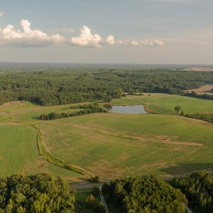 Photo #4 of SOLD property in Off Pixley Pritchard Road & Thomas Store Road, Timberlake, NC 115.0 acres