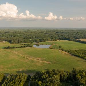 Photo #5 of SOLD property in Off Pixley Pritchard Road & Thomas Store Road, Timberlake, NC 115.0 acres