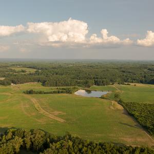 Photo #6 of SOLD property in Off Pixley Pritchard Road & Thomas Store Road, Timberlake, NC 115.0 acres