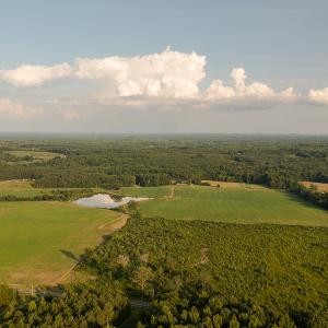 Photo #7 of SOLD property in Off Pixley Pritchard Road & Thomas Store Road, Timberlake, NC 115.0 acres