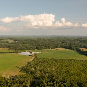 Photo #7 of SOLD property in Off Pixley Pritchard Road & Thomas Store Road, Timberlake, NC 115.0 acres