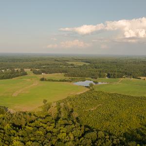 Photo #8 of SOLD property in Off Pixley Pritchard Road & Thomas Store Road, Timberlake, NC 115.0 acres