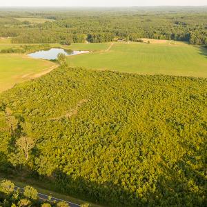 Photo #9 of SOLD property in Off Pixley Pritchard Road & Thomas Store Road, Timberlake, NC 115.0 acres