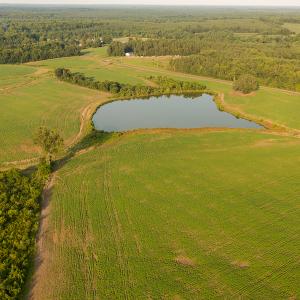 Photo #10 of SOLD property in Off Pixley Pritchard Road & Thomas Store Road, Timberlake, NC 115.0 acres