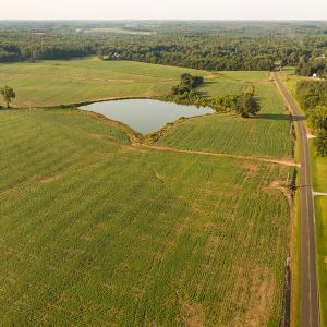 Photo #11 of SOLD property in Off Pixley Pritchard Road & Thomas Store Road, Timberlake, NC 115.0 acres