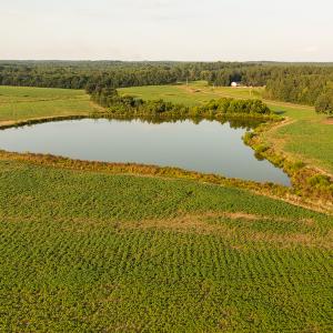 Photo #13 of SOLD property in Off Pixley Pritchard Road & Thomas Store Road, Timberlake, NC 115.0 acres