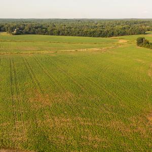 Photo #15 of SOLD property in Off Pixley Pritchard Road & Thomas Store Road, Timberlake, NC 115.0 acres