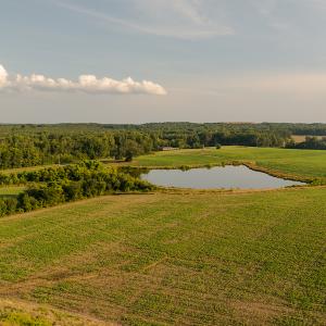 Photo #21 of SOLD property in Off Pixley Pritchard Road & Thomas Store Road, Timberlake, NC 115.0 acres