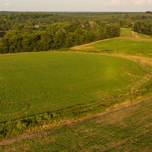 Photo #22 of SOLD property in Off Pixley Pritchard Road & Thomas Store Road, Timberlake, NC 115.0 acres