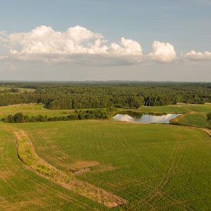 Photo #27 of SOLD property in Off Pixley Pritchard Road & Thomas Store Road, Timberlake, NC 115.0 acres