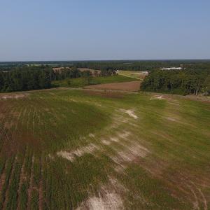 Photo #2 of SOLD property in Off Pleasant Hope Road, Fairmont, NC 18.5 acres