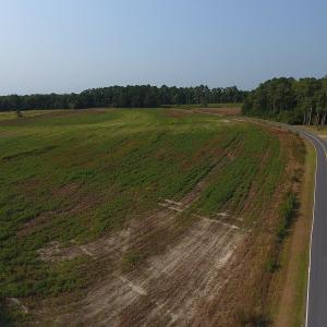 Photo #3 of SOLD property in Off Pleasant Hope Road, Fairmont, NC 18.5 acres
