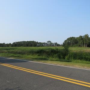 Photo #4 of SOLD property in Off Pleasant Hope Road, Fairmont, NC 18.5 acres