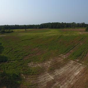 Photo #5 of SOLD property in Off Pleasant Hope Road, Fairmont, NC 18.5 acres