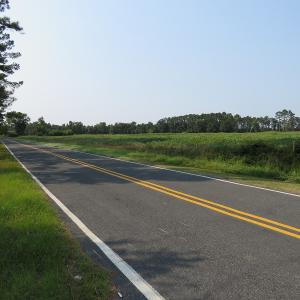 Photo #6 of SOLD property in Off Pleasant Hope Road, Fairmont, NC 18.5 acres