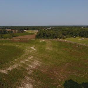 Photo #7 of SOLD property in Off Pleasant Hope Road, Fairmont, NC 18.5 acres