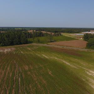 Photo #9 of SOLD property in Off Pleasant Hope Road, Fairmont, NC 18.5 acres