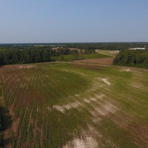 Photo #10 of SOLD property in Off Pleasant Hope Road, Fairmont, NC 18.5 acres
