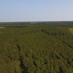 Photo #1 of Off NC HWY 130, Orrum, NC 40.8 acres