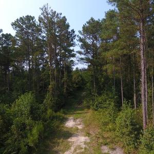 Photo #10 of Off NC HWY 130, Orrum, NC 40.8 acres