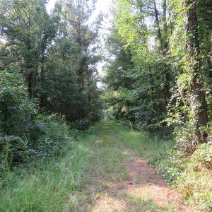 Photo #15 of Off NC HWY 130, Orrum, NC 40.8 acres