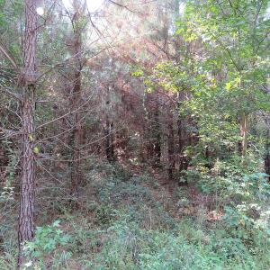 Photo #16 of Off NC HWY 130, Orrum, NC 40.8 acres