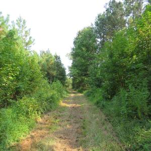 Photo #2 of Off NC HWY 130, Orrum, NC 40.8 acres