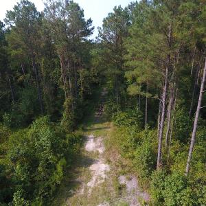 Photo #3 of Off NC HWY 130, Orrum, NC 40.8 acres